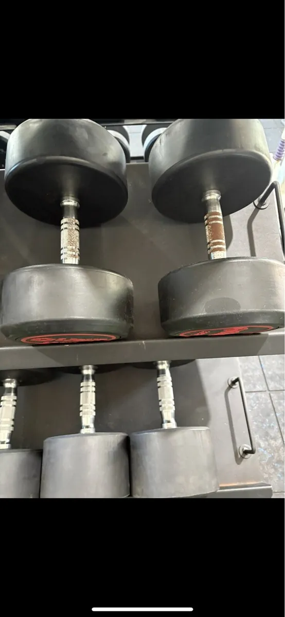 32.5kg Dumbell Pair - Image 2