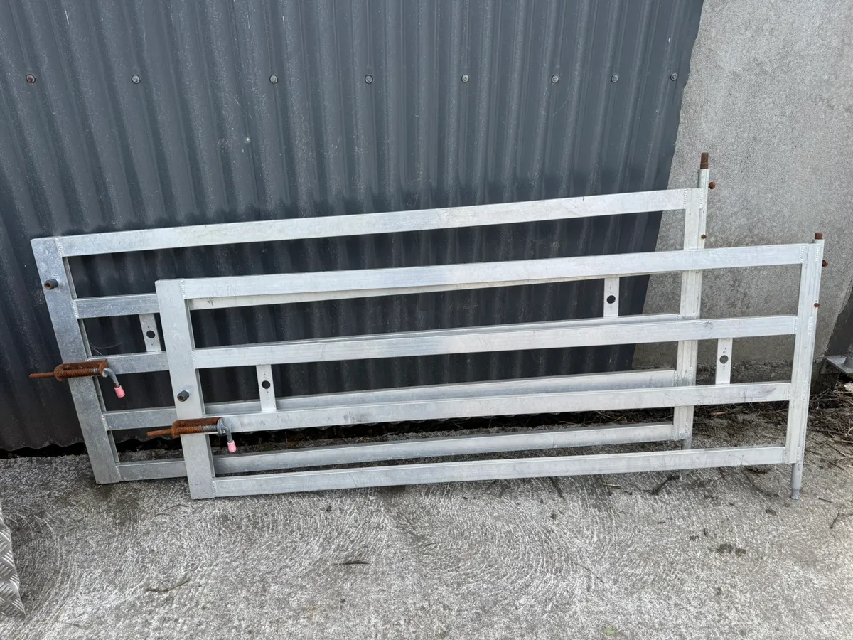Sheep decks - Image 2