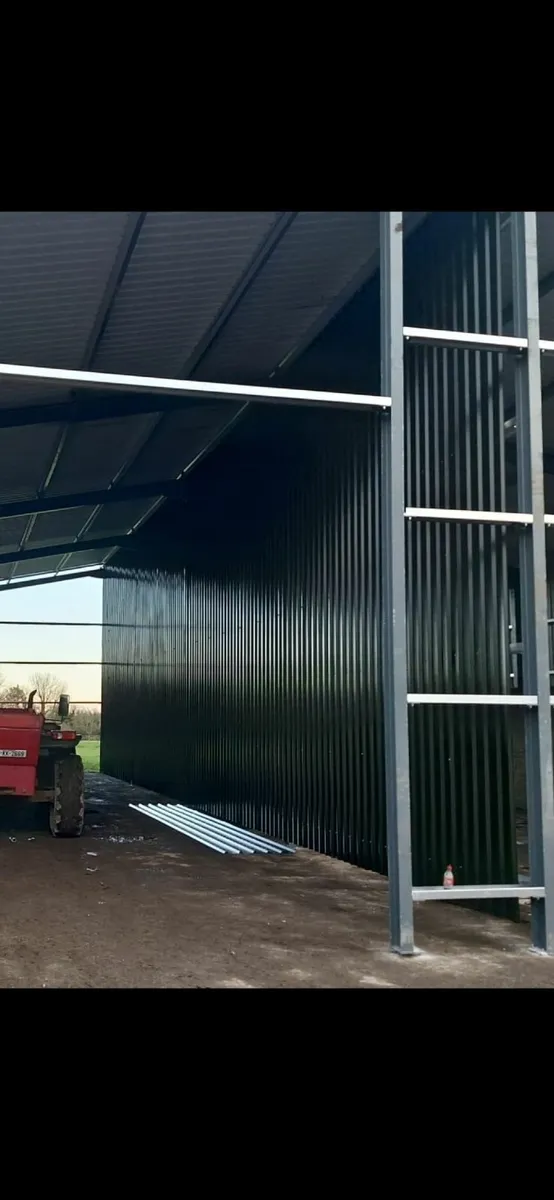 Sheeting and purlins. - Image 1