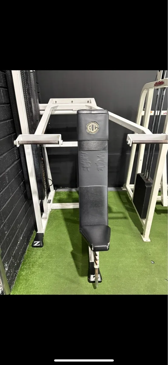 Zest Shoulder Press Machine - Image 1