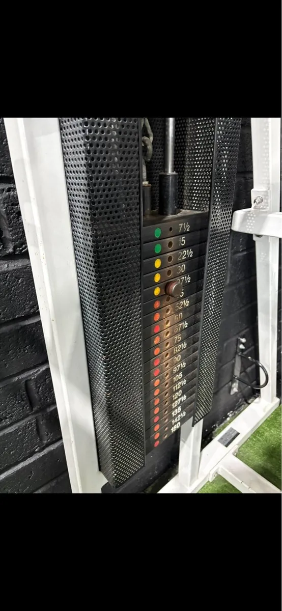 Zest Shoulder Press Machine - Image 3