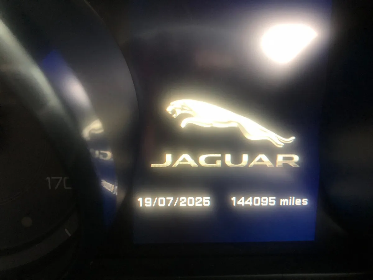 Jaguar XE 2016 - Image 4