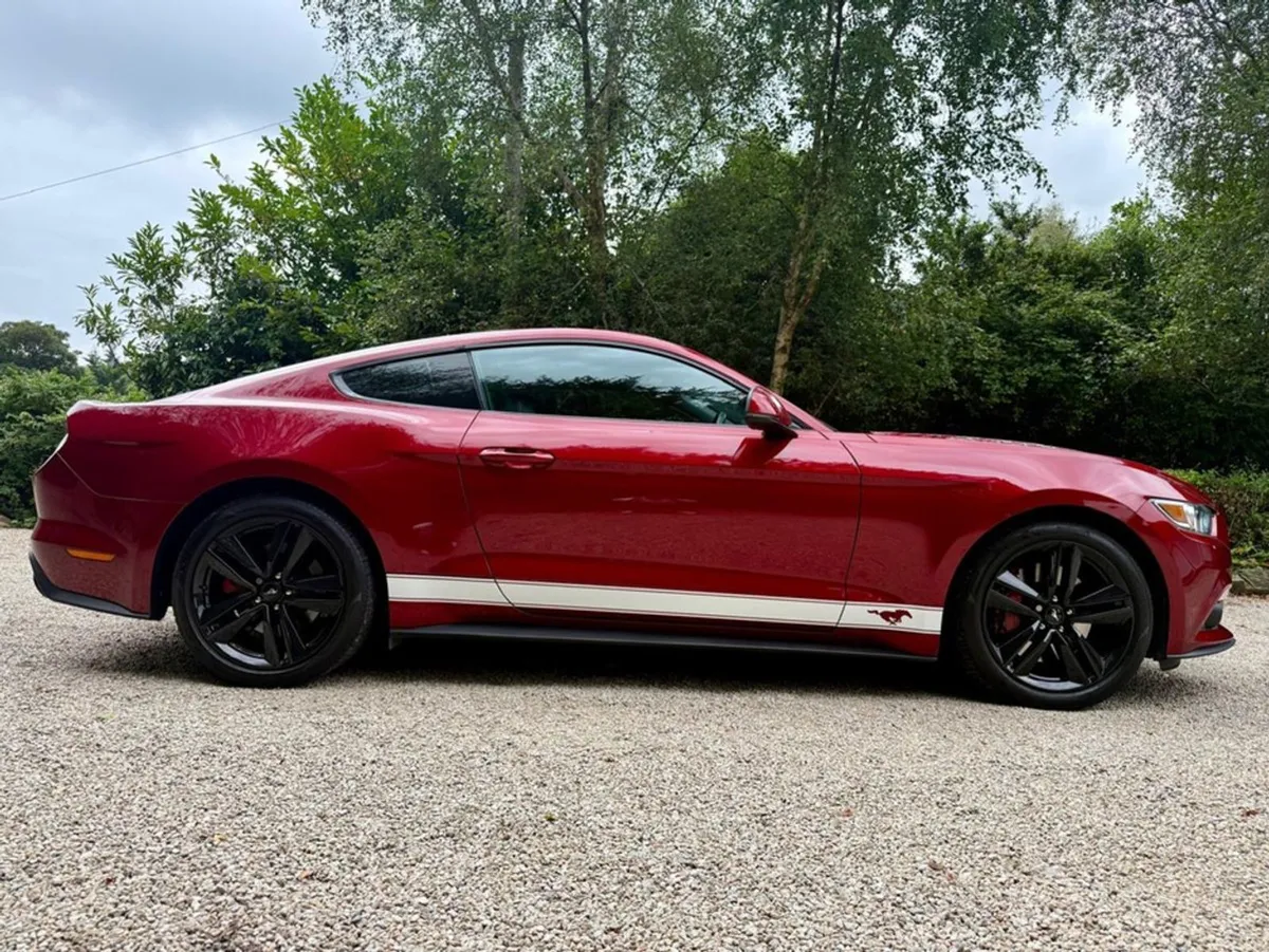 Ford Mustang Fastback 2.3 Manual - Image 2