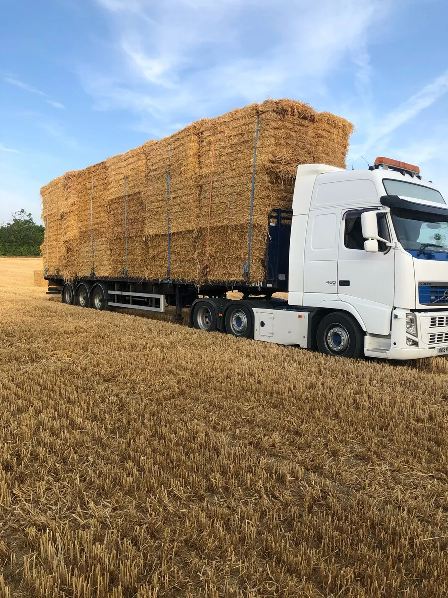 Top quality barley and wheat straw - Image 4