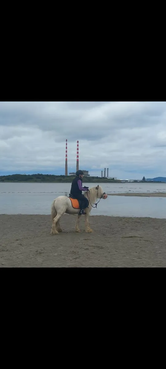 Pony - Image 1