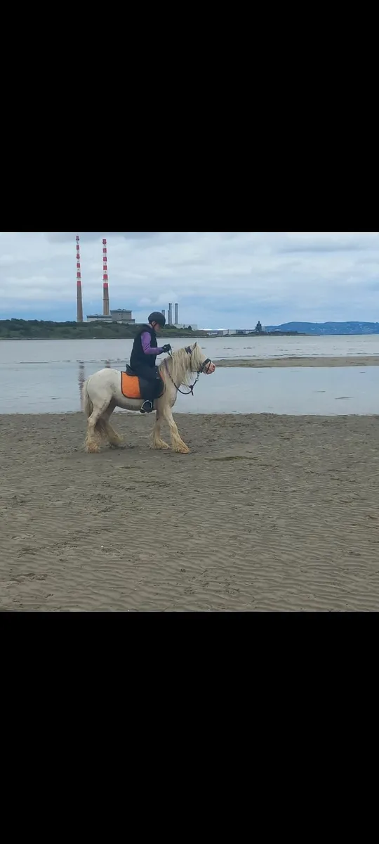 Pony - Image 3