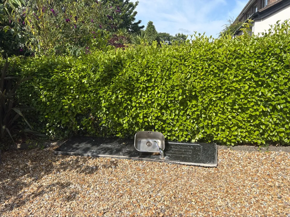 Granite - Image 2