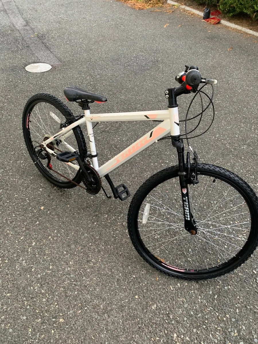 Mountain Bike - Image 4