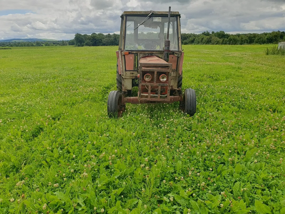 Zetor Tractor - Image 1