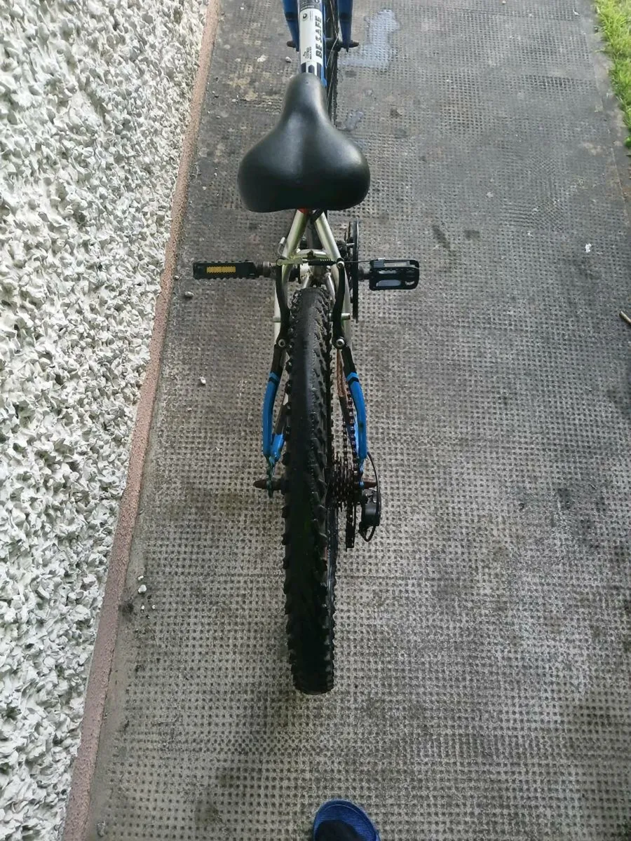 Bike - Image 1