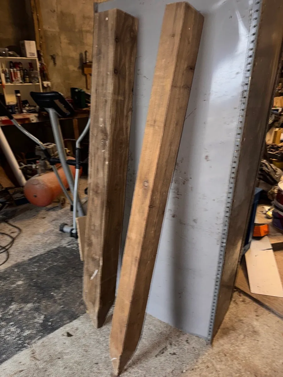 Treated Larch posts - Image 3