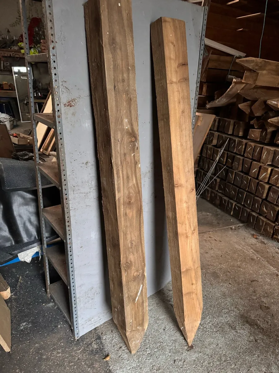 Treated Larch posts - Image 4