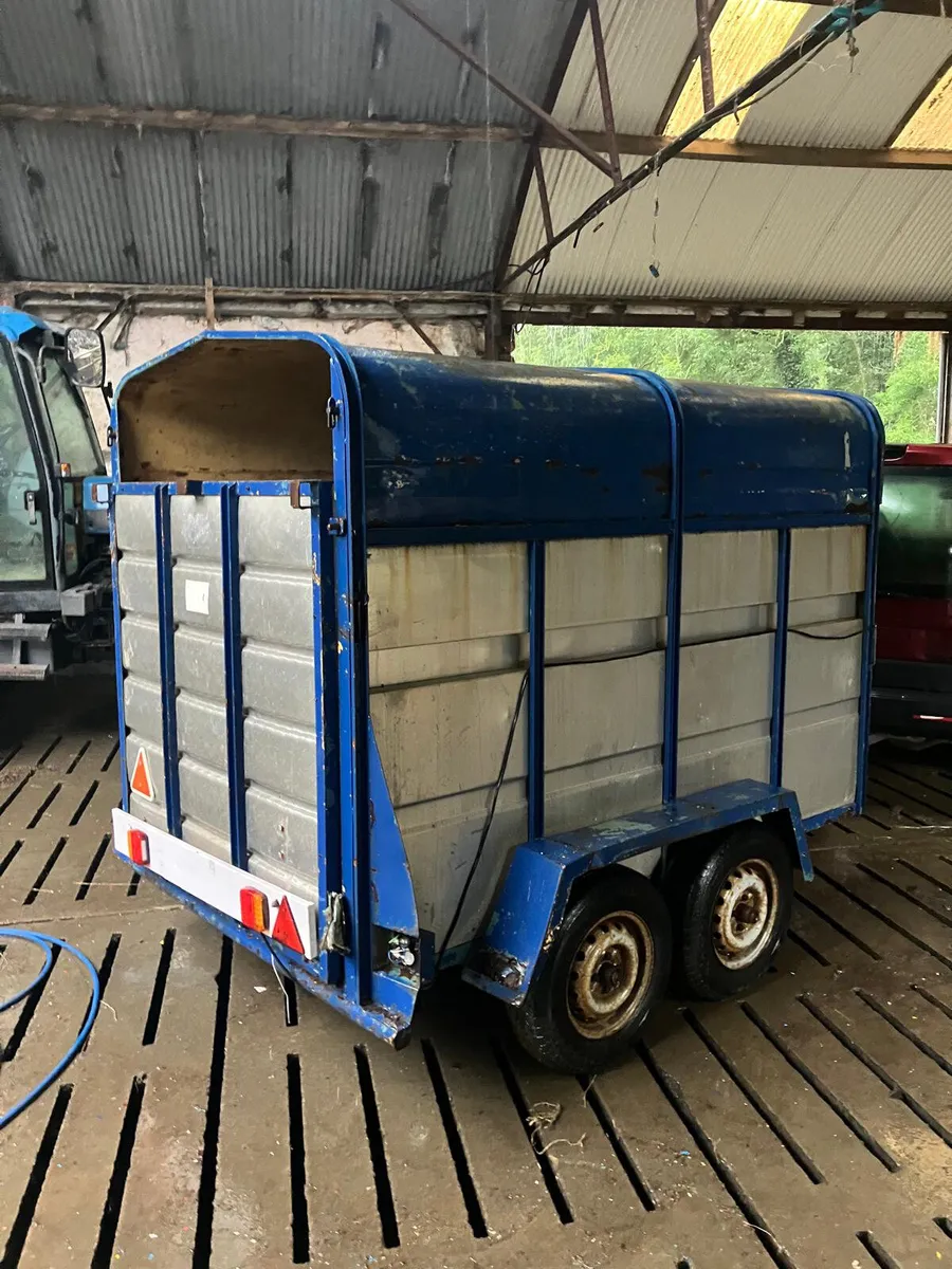 Cow box - Image 1