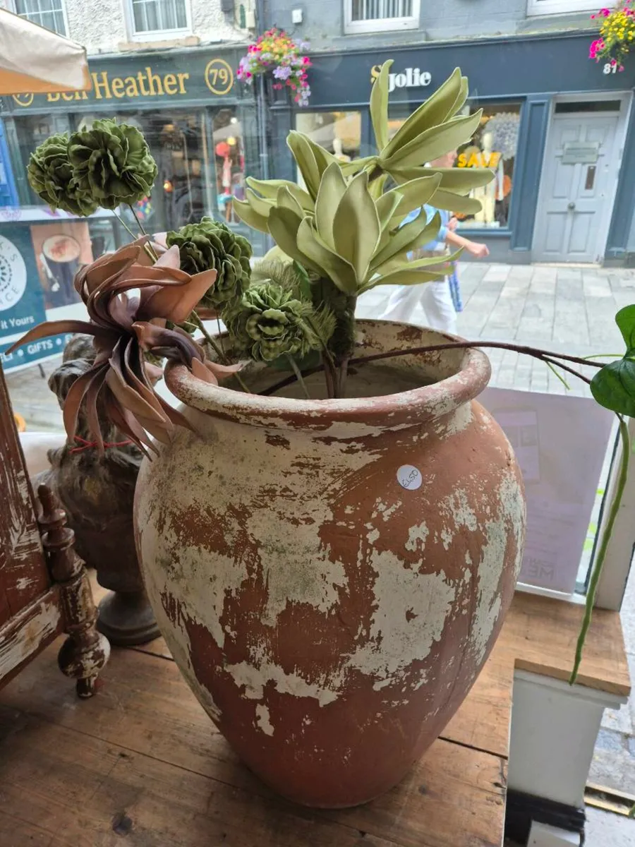 Lovely old olive pots - Image 1
