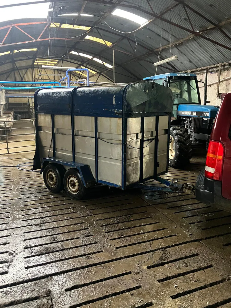 Cow box - Image 2