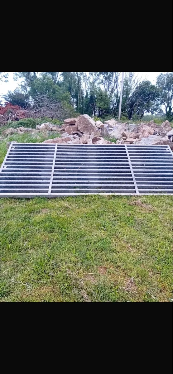 Cattle grid - Image 1