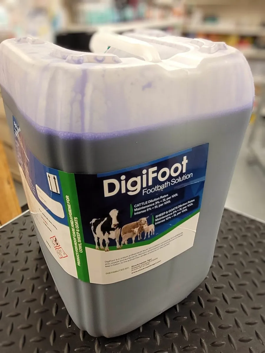 Digifoot - Foot Solution that Works! - Image 2