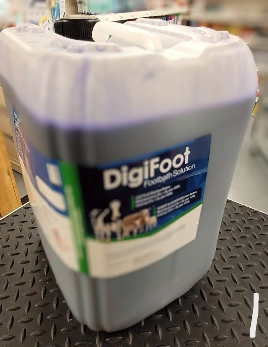 Digifoot - Foot Solution that Works! - Image 3