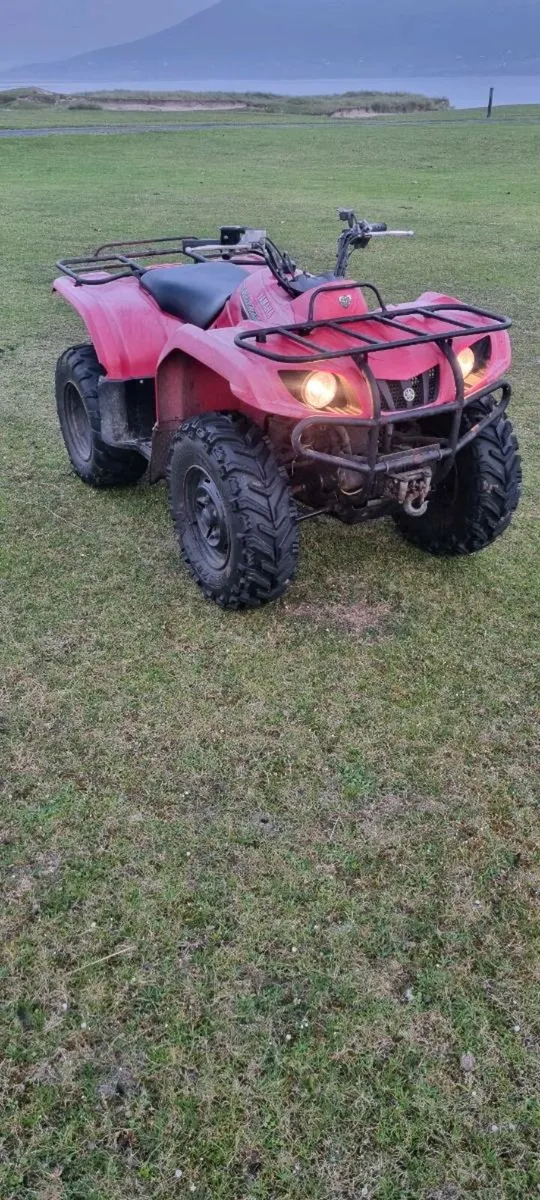 Yamaha grizzly 350 - Image 1
