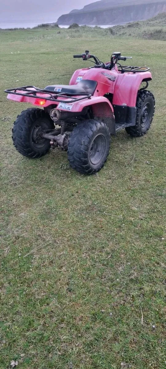 Yamaha grizzly 350 - Image 2