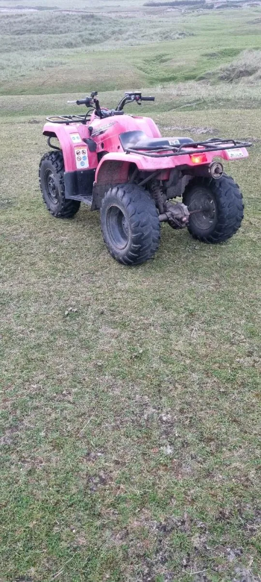 Yamaha grizzly 350 - Image 3