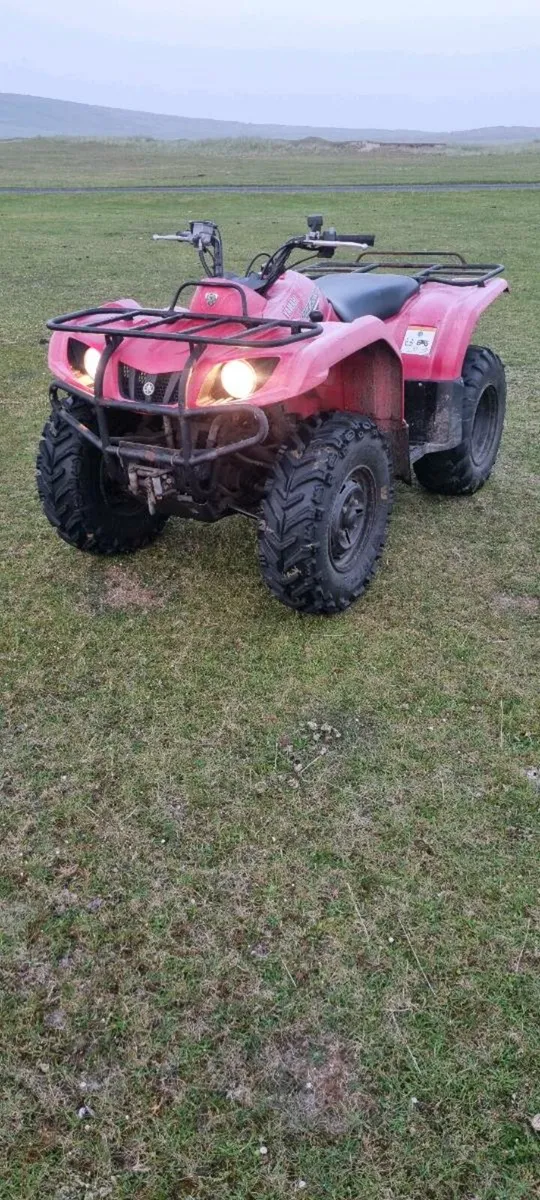 Yamaha grizzly 350 - Image 4