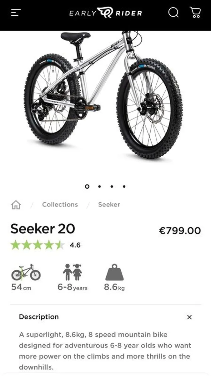 Early Rider Seeker 20" - Image 2