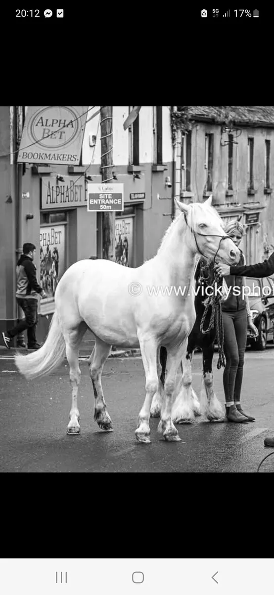 14h.1cob - Image 1