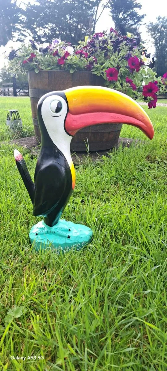 Large Guinness  toucan
