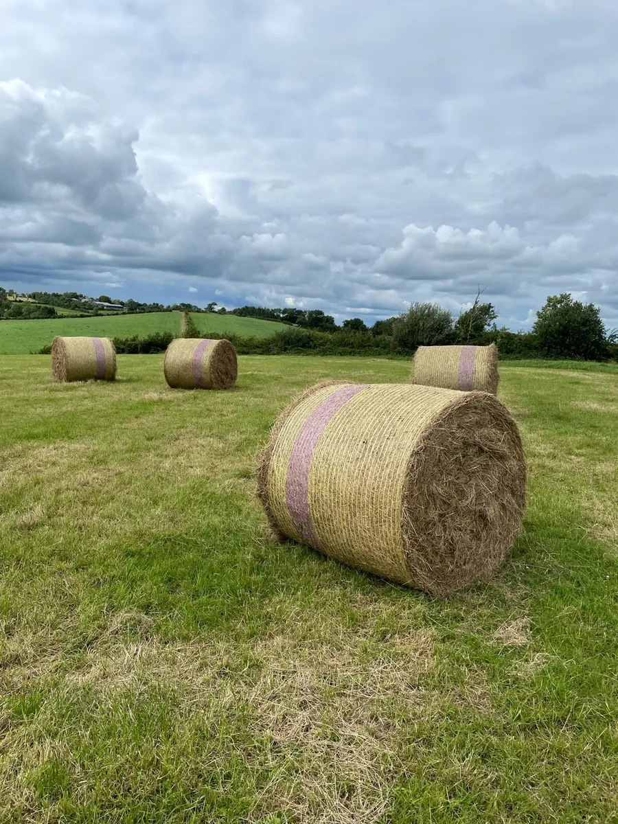 First cut hay €30 Ono - Image 1