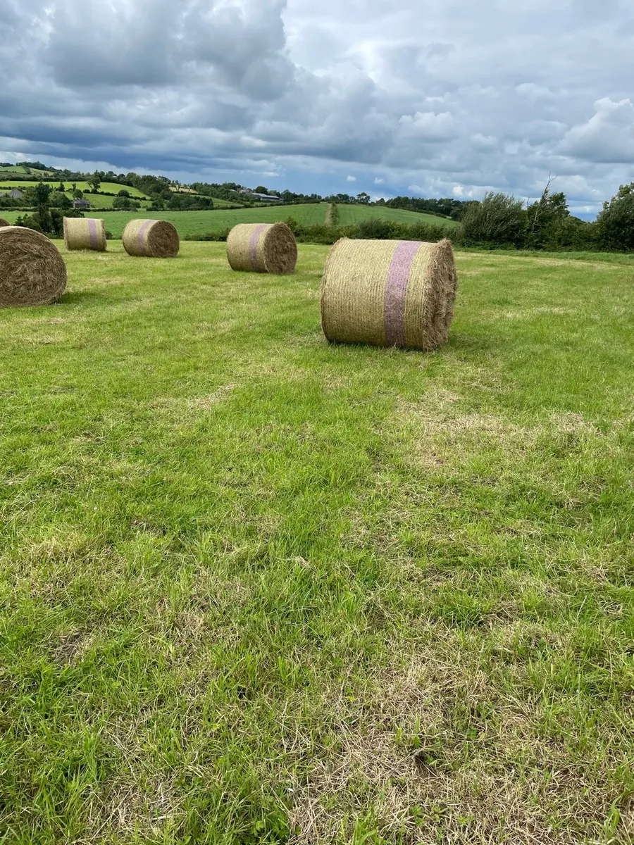 First cut hay €30 Ono - Image 2