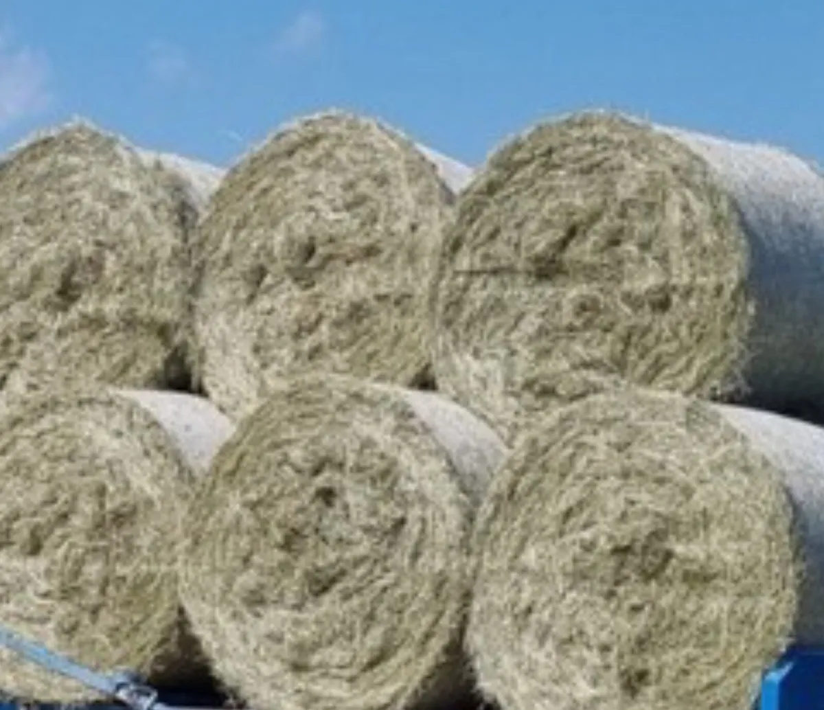 Hay
