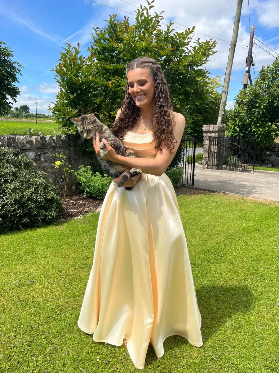 Debs Dress - Image 1