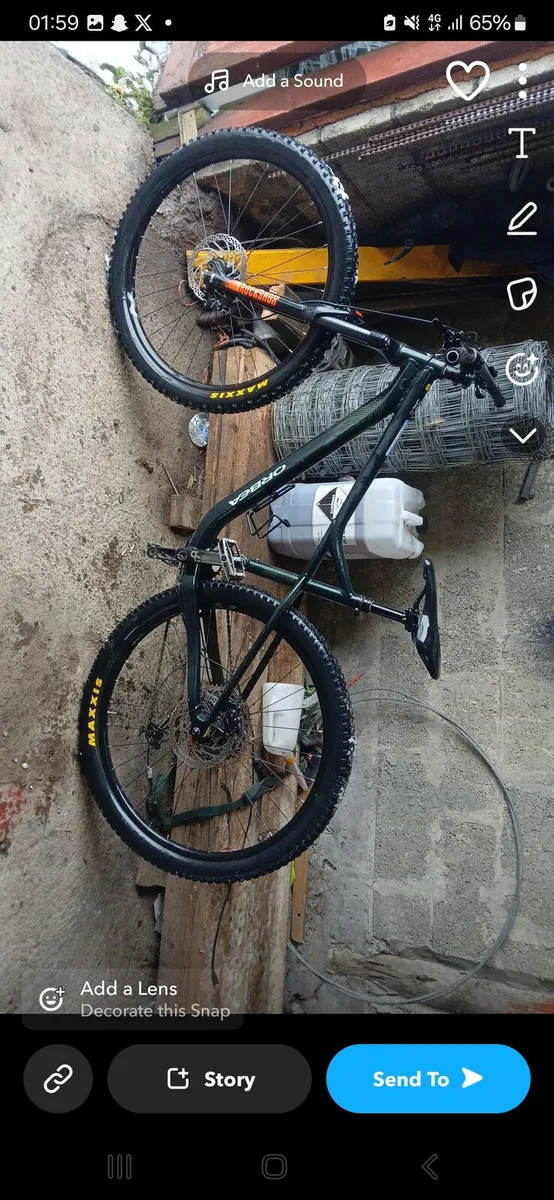 Orbea - Image 1