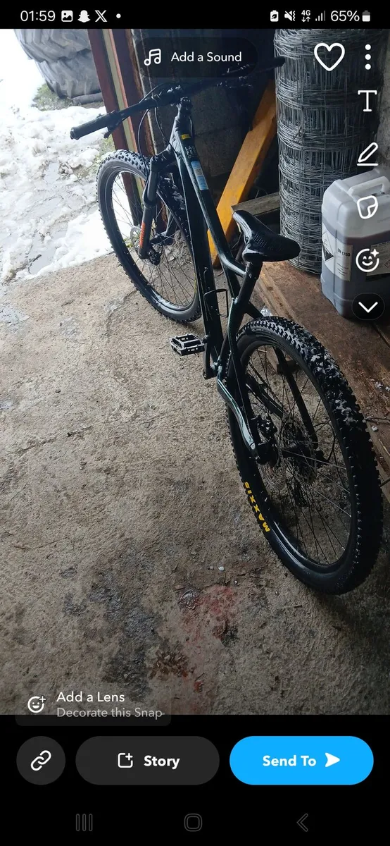 Orbea - Image 2