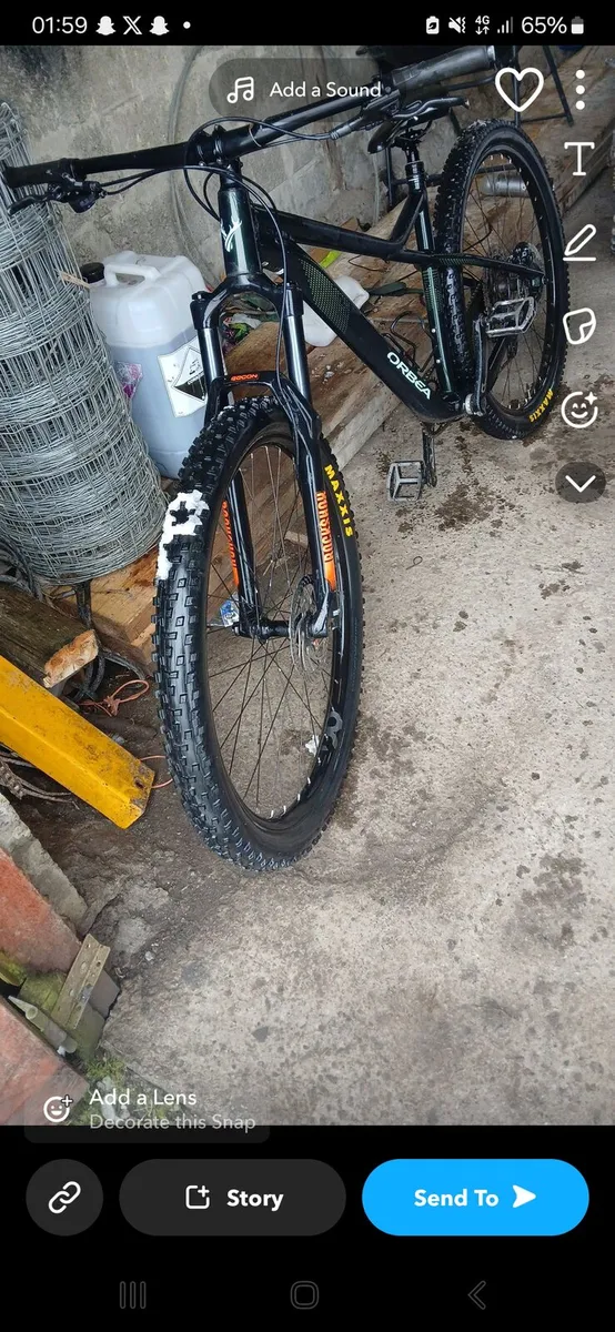 Orbea - Image 3