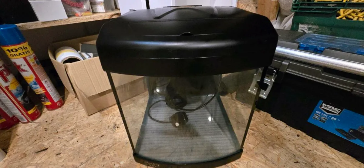 Aquarium - Image 1