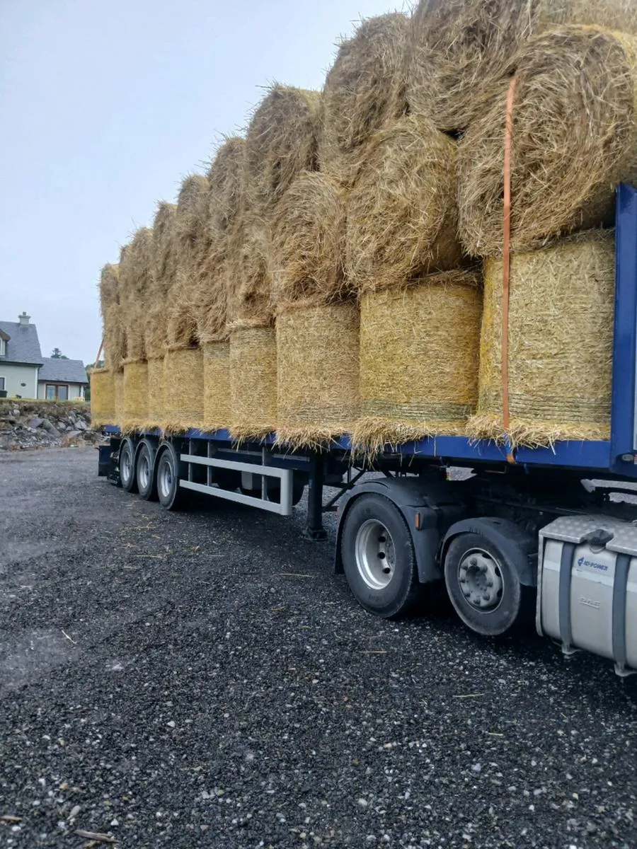Straw - Image 1