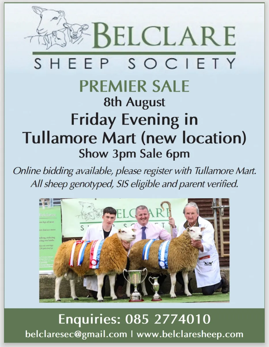 2025 Belclare  Sale Dates - Image 2