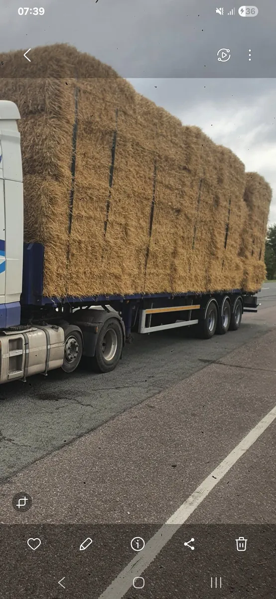 Straw - Image 2