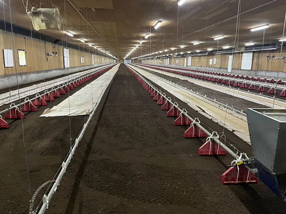 🐄 bedding peat 🐄 - Image 2
