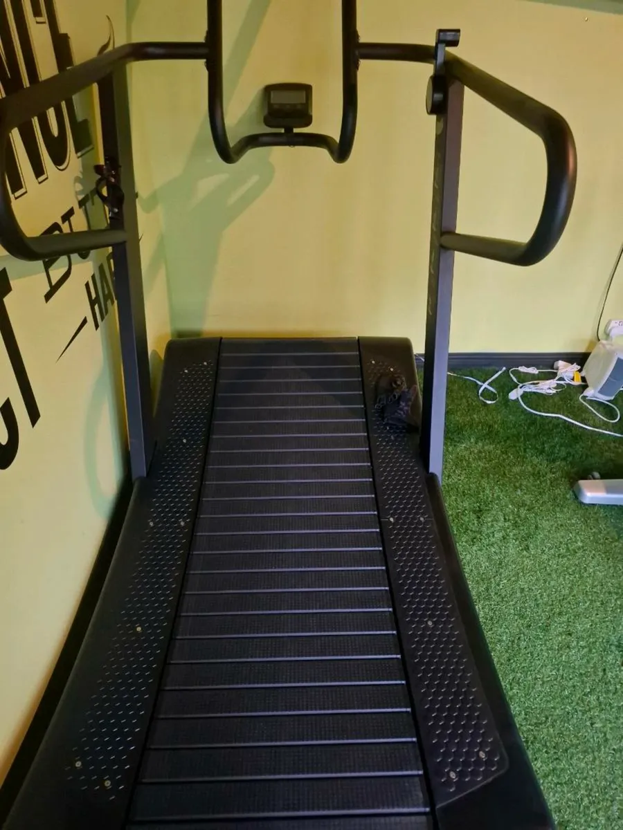 Curved Treadmill - Image 2