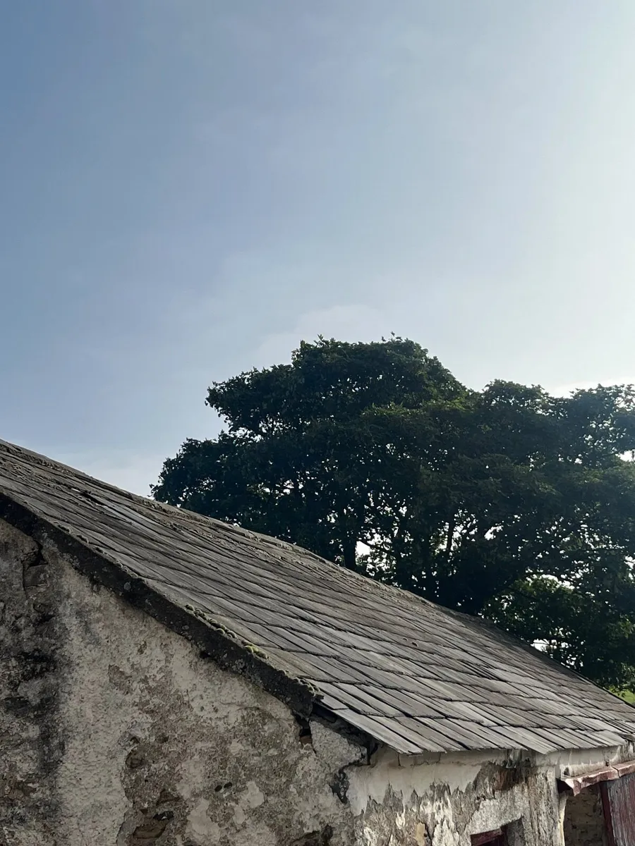 Slates - Image 3