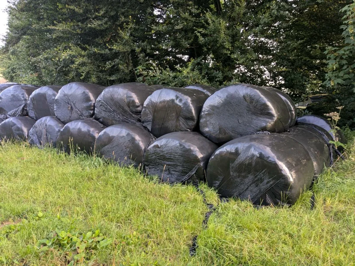 Baled Silage - Image 1