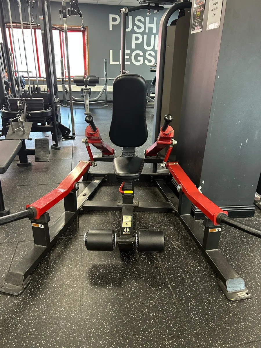 Leg press and tricep dip - Image 1