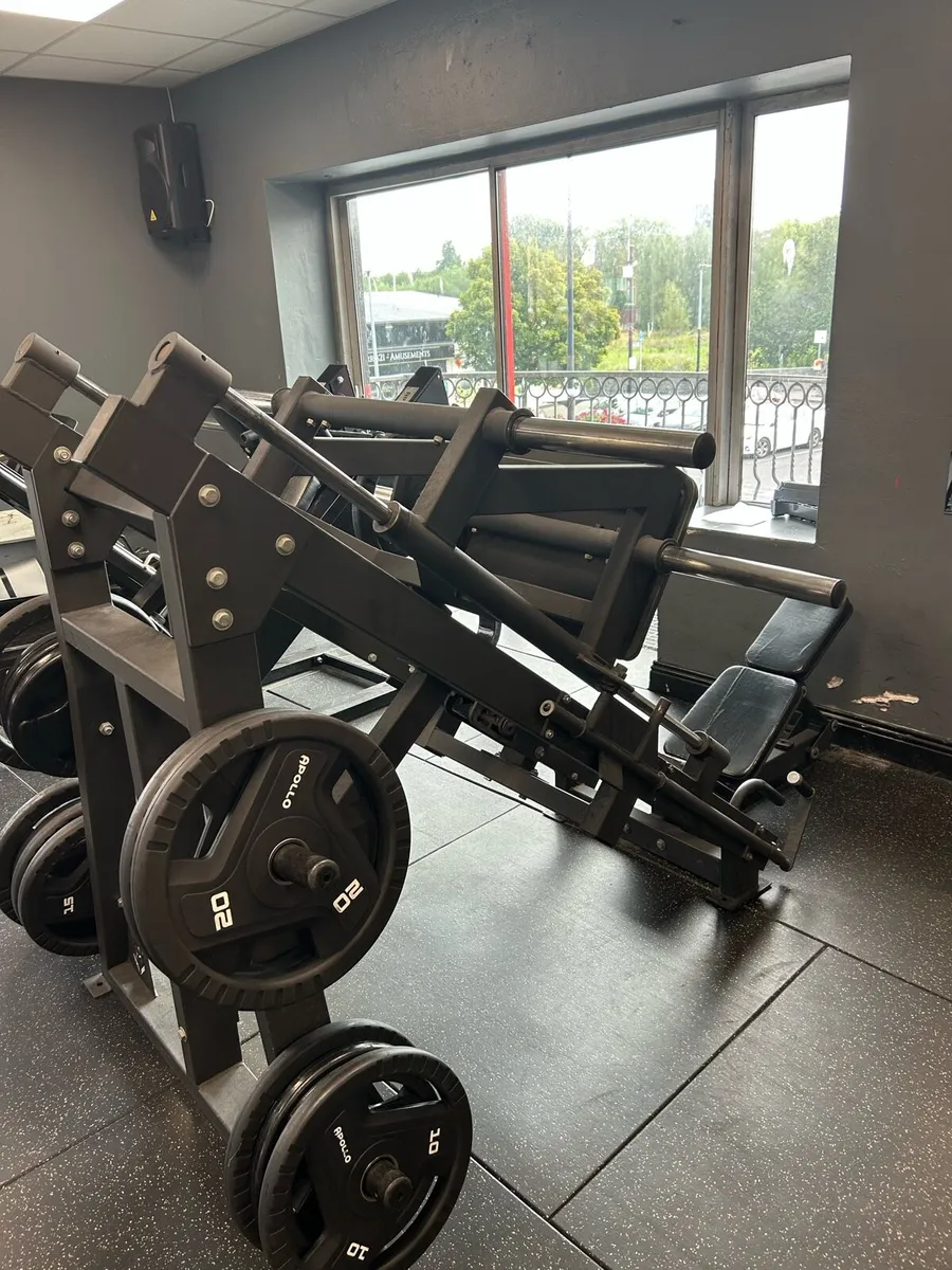 Leg press and tricep dip - Image 2