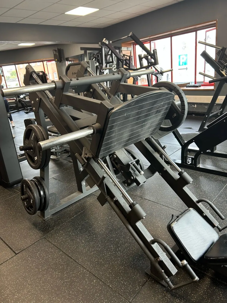 Leg press and tricep dip - Image 3