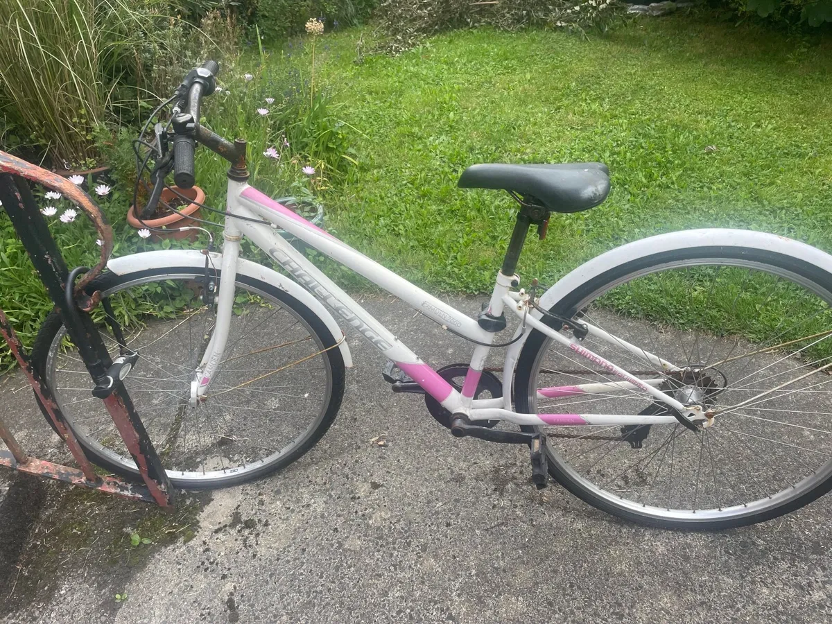 Bike - Image 1