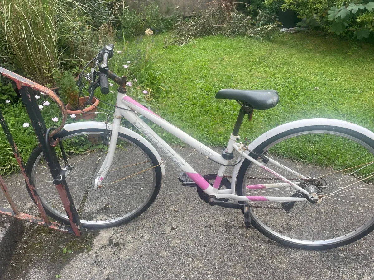 Bike - Image 2