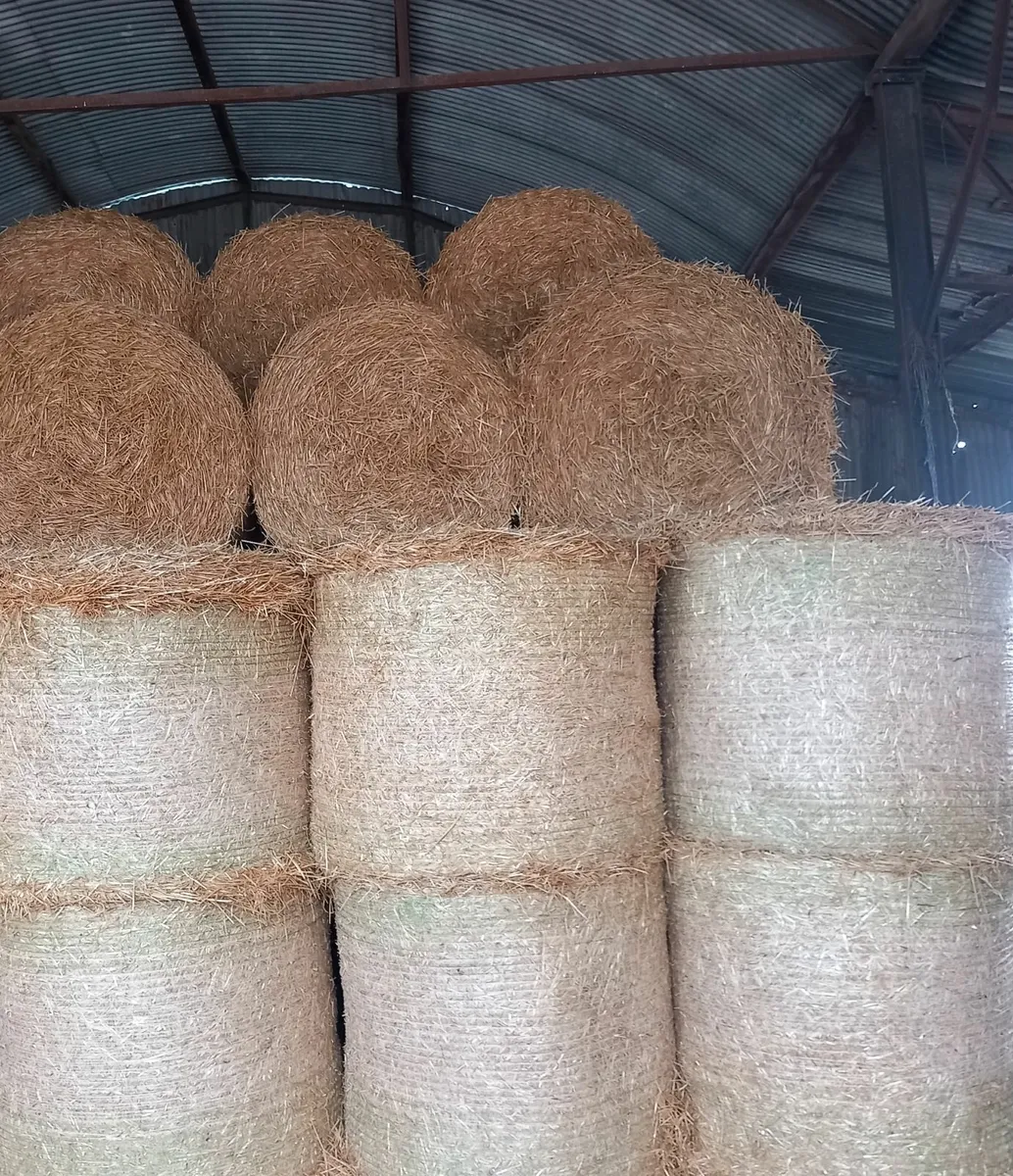 Straw 4x4